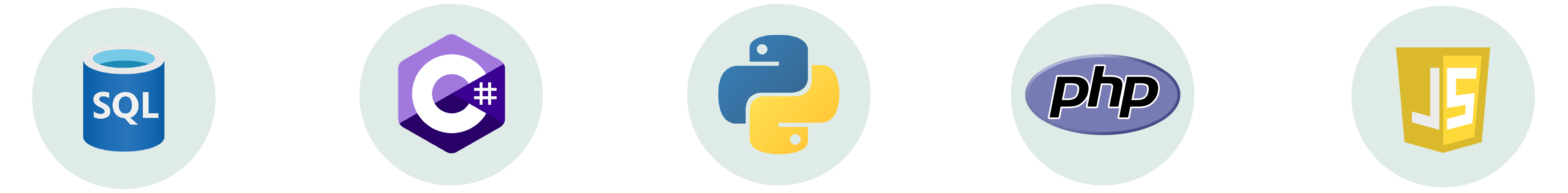 Coding skills assessment tests